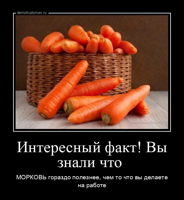 Воскресные картинки