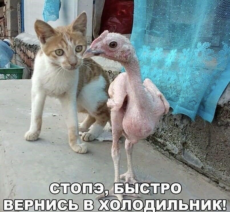 20938522.jpg