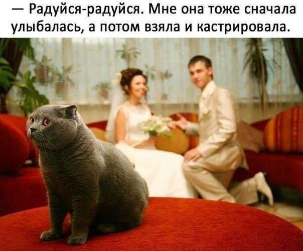 Картинки для деградации 185 (разной степени свежести)