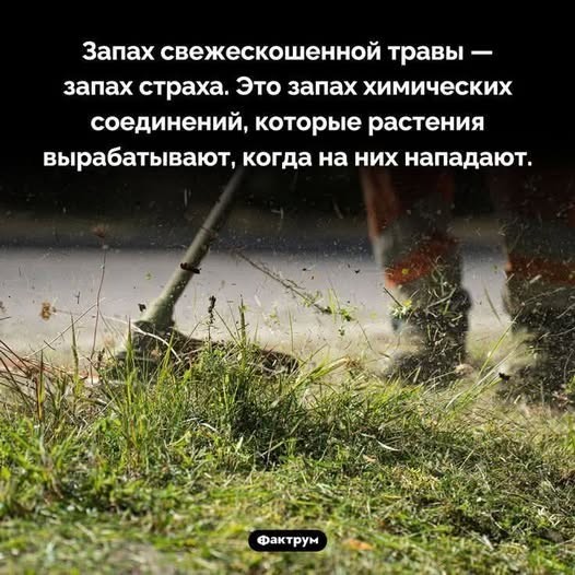 Картинки для деградации 224 (разной степени свежести)