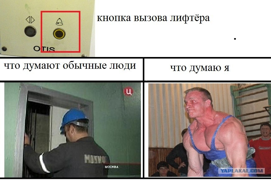 Вызов лифтера. Смешной лифт. Лифтовой диспетчерский пульт. Застрял в лифте прикол. Лифтеры бодибилдеры.