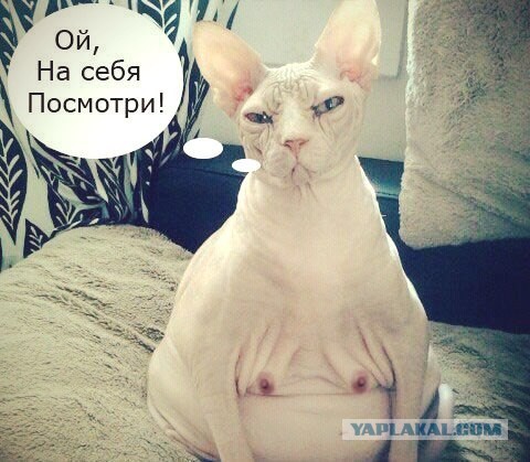 Мария Зарринг снялась обнажённой