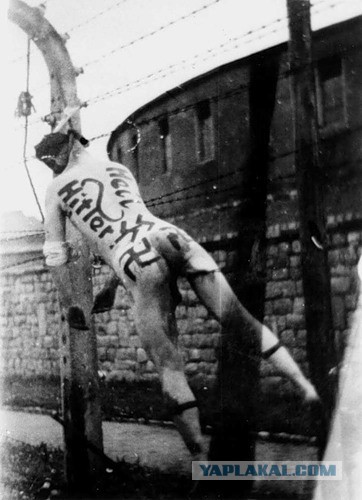 Как чехи немцам мстили. 1945 год