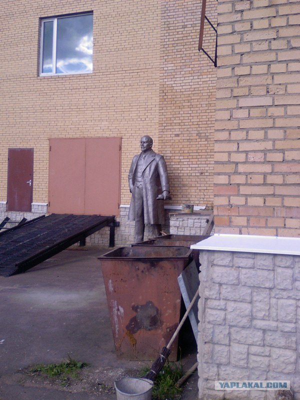 Жизнь вокруг меня