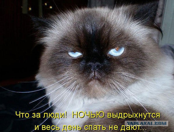 Утром