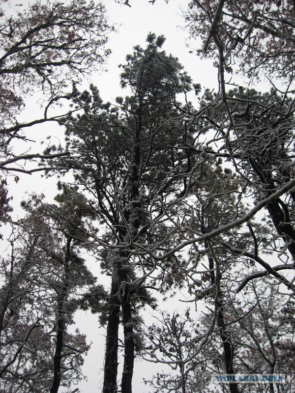 Деревенская Америка