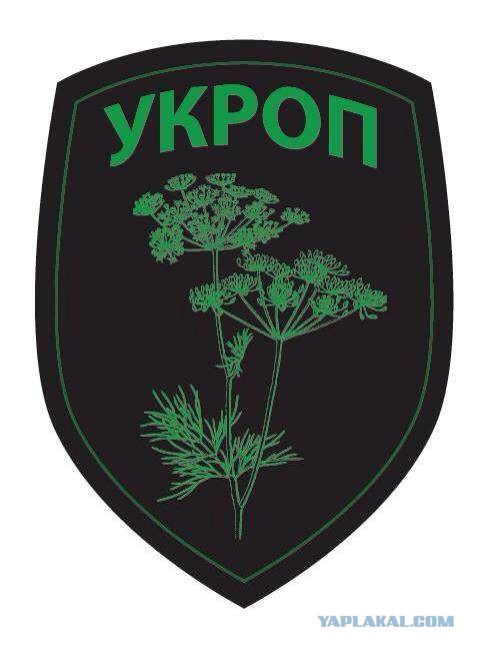 Луганск. Ополченцы обстреливают украинскую армию