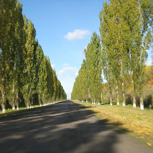 За ночь на учениях в Поволжье были переброшены