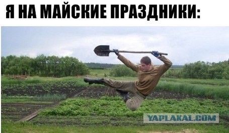Немного картинок после праздника