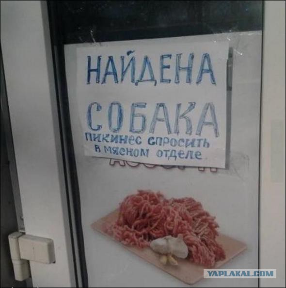 Надписи, таблички, маразмы