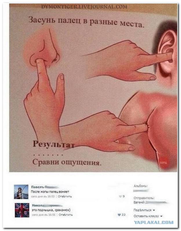 Ужасы и приколы из соцсетей 18+