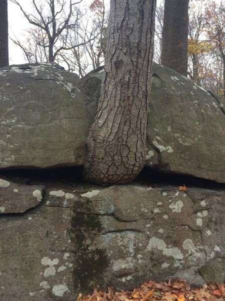 Прикольняхи