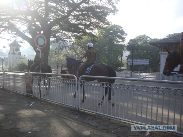 Самостоятельное путешествие в Шри-Ланку