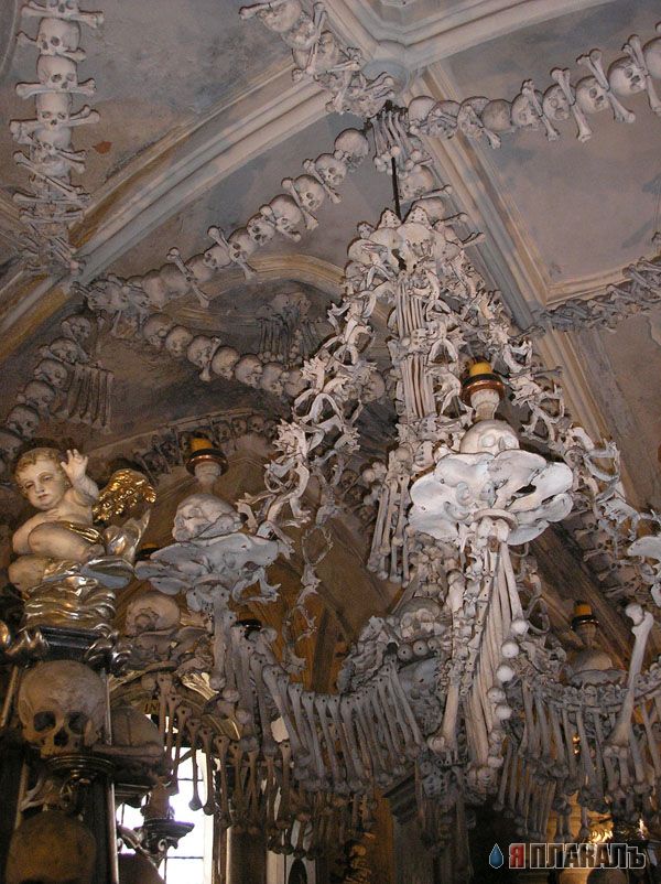 Любовь до гроба. СКЕЛЕТЫ, ЧЕРЕПА, КОСТИ
