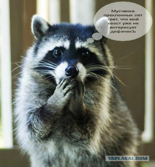 Wargaming 33