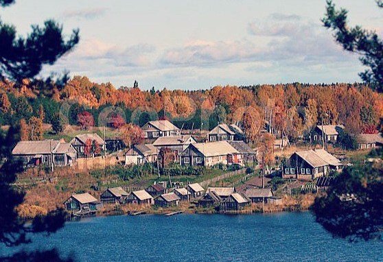 Порция картинок