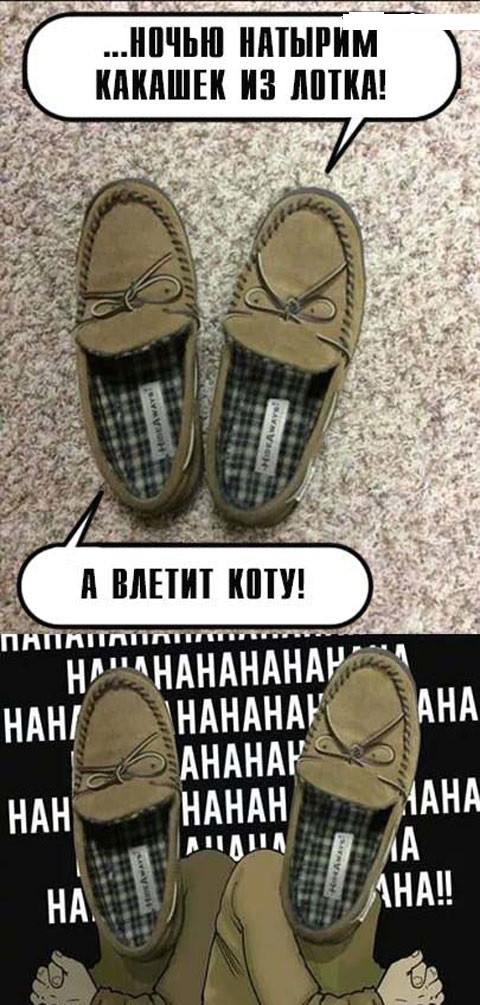 Юмор не для всех