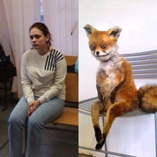 Живодерки из Хабаровска