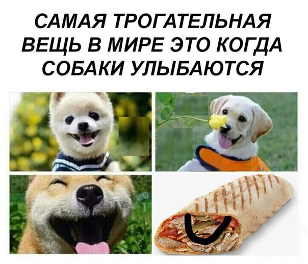 Слегка чёрный и абсурдный юмор