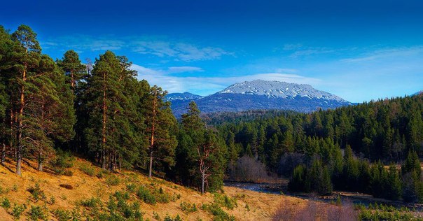 Фото интересные и не только