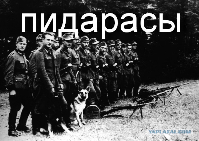ФотоОвсянка