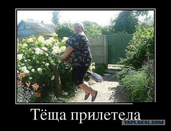На дачу фигачу