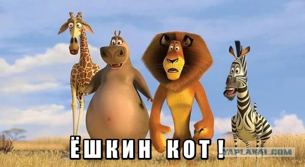 Дуэли. Архив