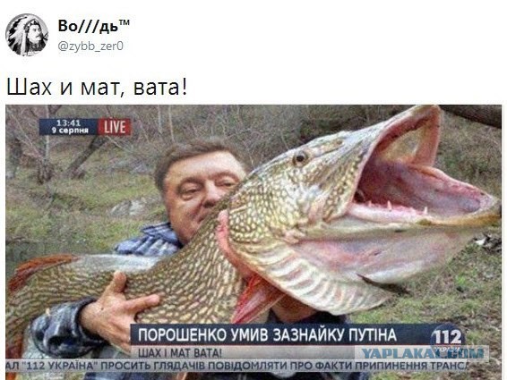10 политических картинок часть 27