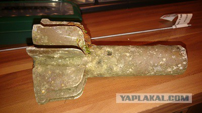 Небольшая грибная подборка