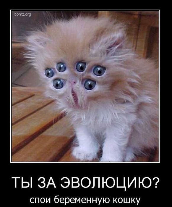 Чёрная суббота нагрянула неожиданно