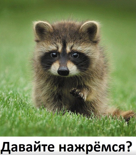Алкопост на вечер пятницы