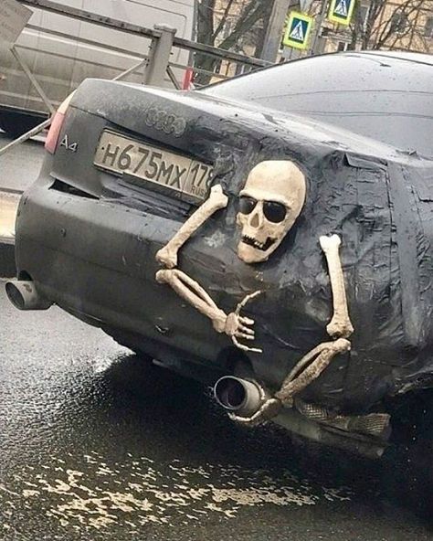 И всё-таки она наша. Лента картинок