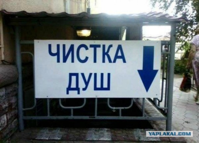 Чуток картинок 09.06.19
