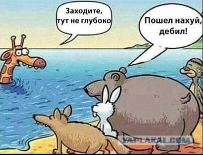 Картинок разных винегрет