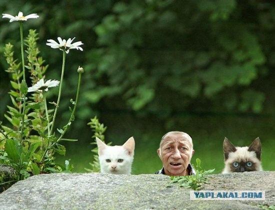 Не в "фокусе"