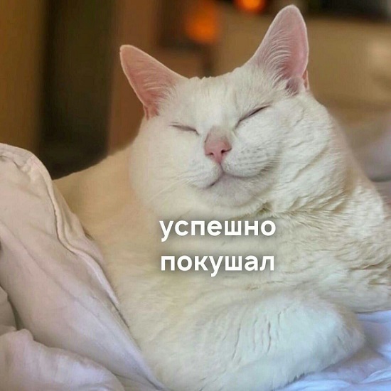 Картинки. Легкие, как воздух внутри баянов)