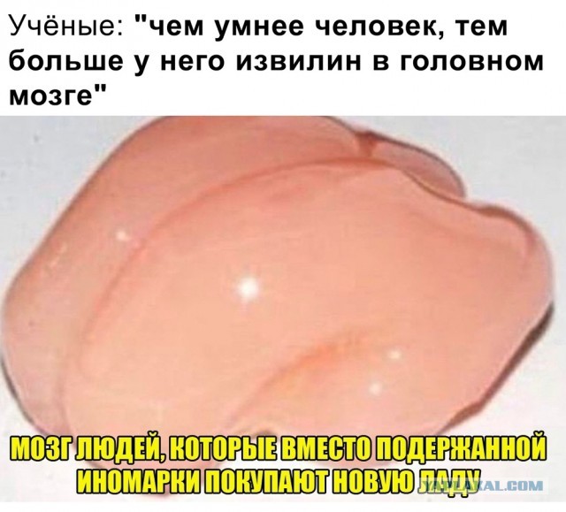 Дебилизмы из сети 04.02.21