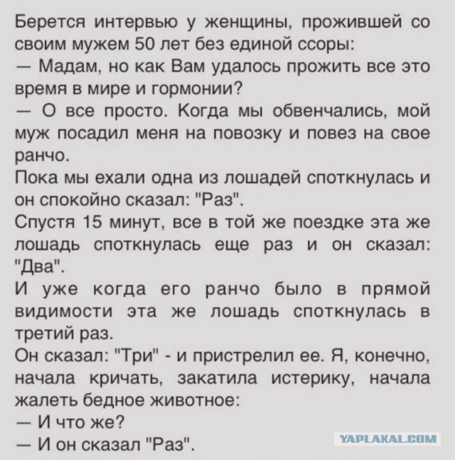 Кретинизмы из сети 05.02.21