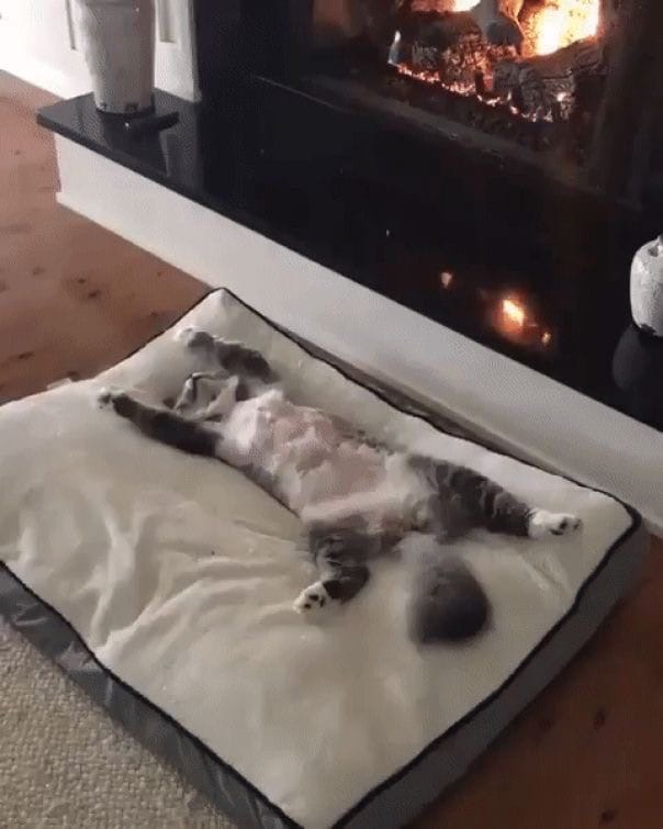 Добрые картинки 28.11.20