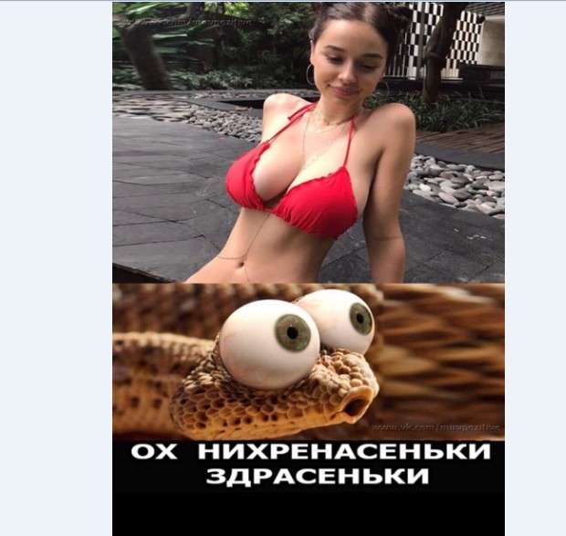 Картинки и мемы для настроения 018