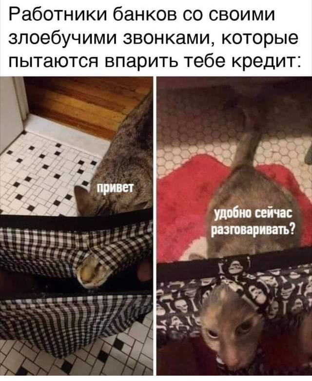 Картинки и мемы для настроения 01.04.2021