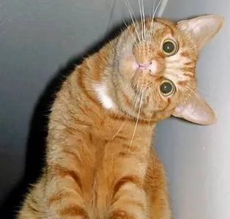 Коллеги, Вы спрашивали, я нашёл!