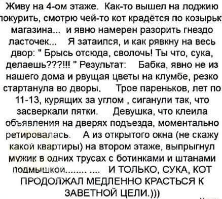 Картинки 31.10.21