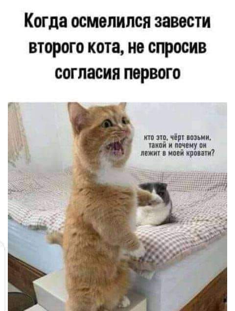 Картинки и буквы 15.07.22