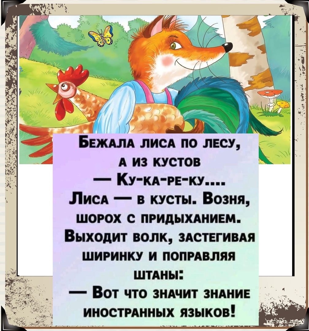 16758622.jpg
