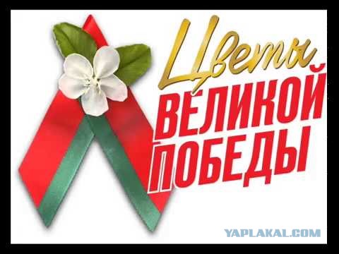 Про оскорбление чувств георгиевской ленточки
