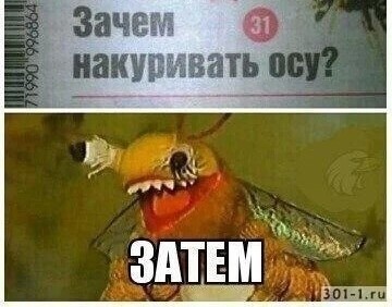 8 забытых юмористических телешоу 90-х, которые вызывают лютую ностальгию