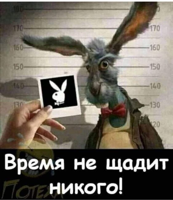 Прикольные и просто красивые картинки 28.06.2024