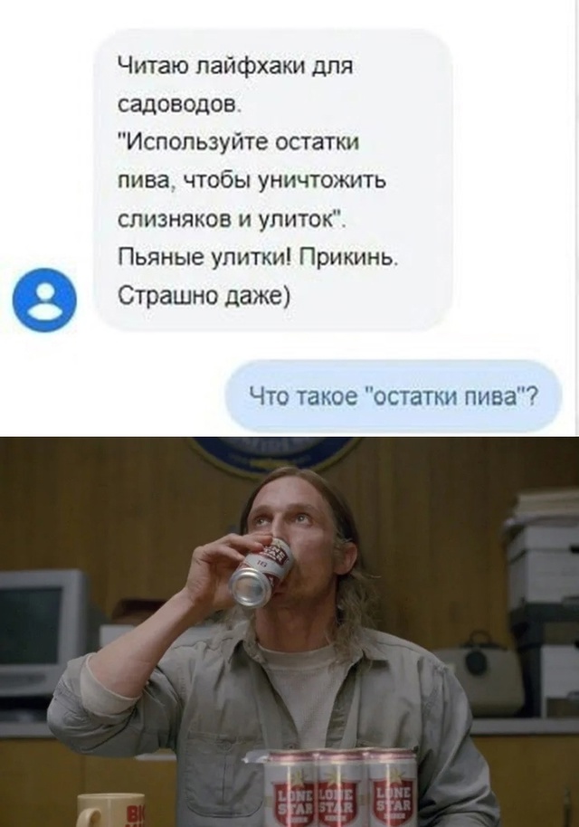 Весёлый полтишок 02.07.24