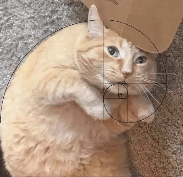 Фото Рулетка